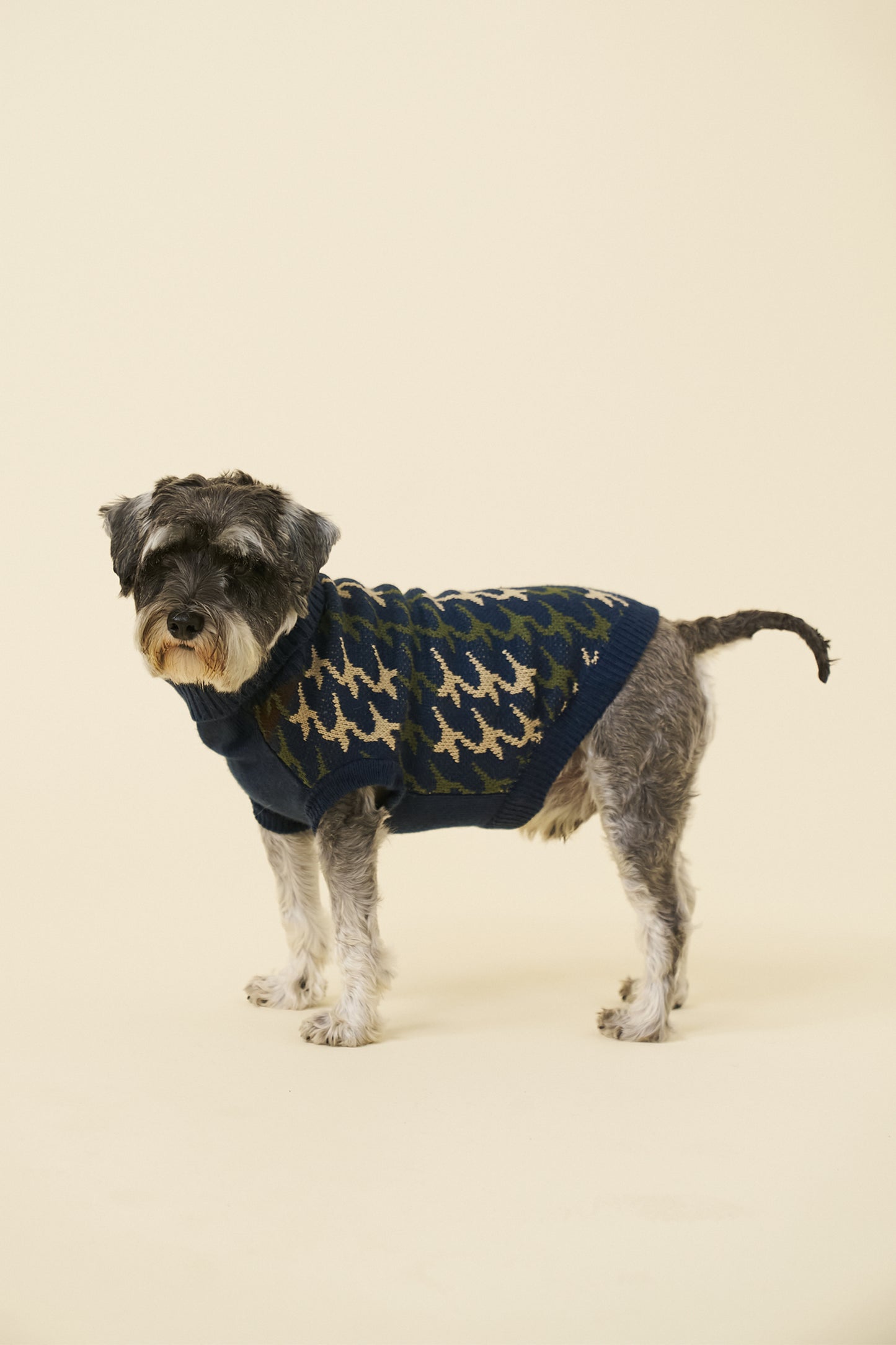 RONNIE DOG KNIT - NAVY