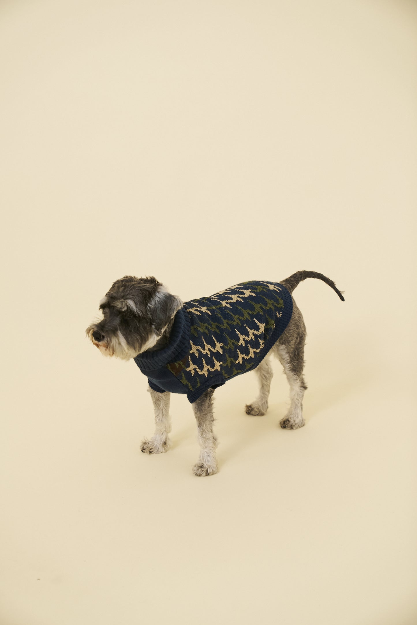 RONNIE DOG KNIT - NAVY