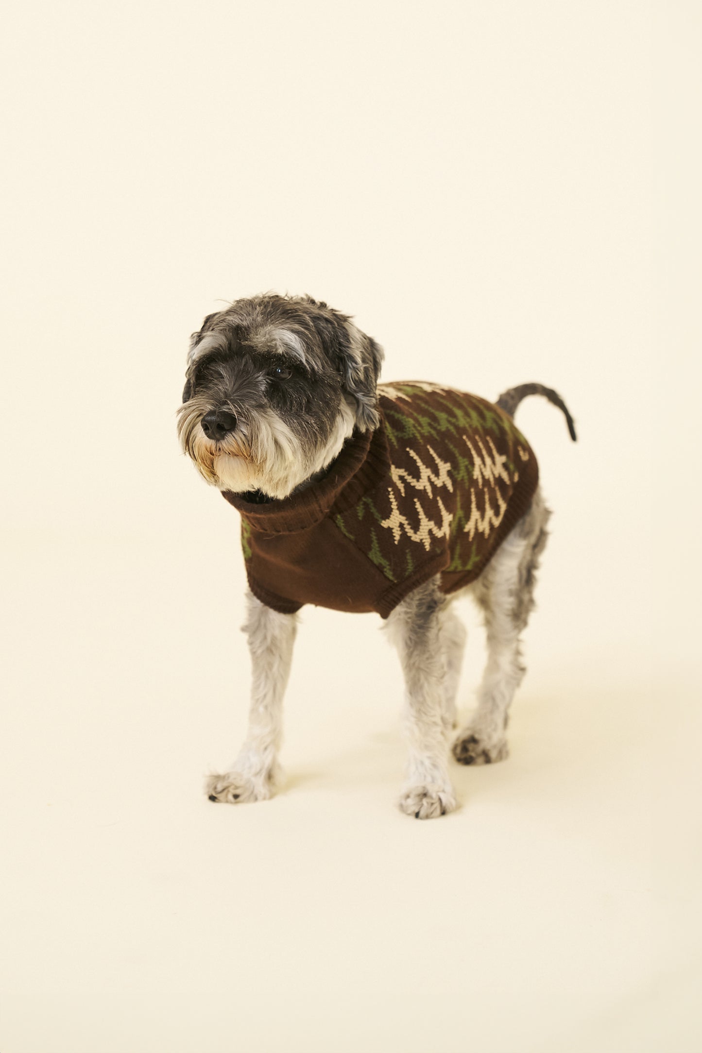 RONNIE DOG KNIT - BROWN