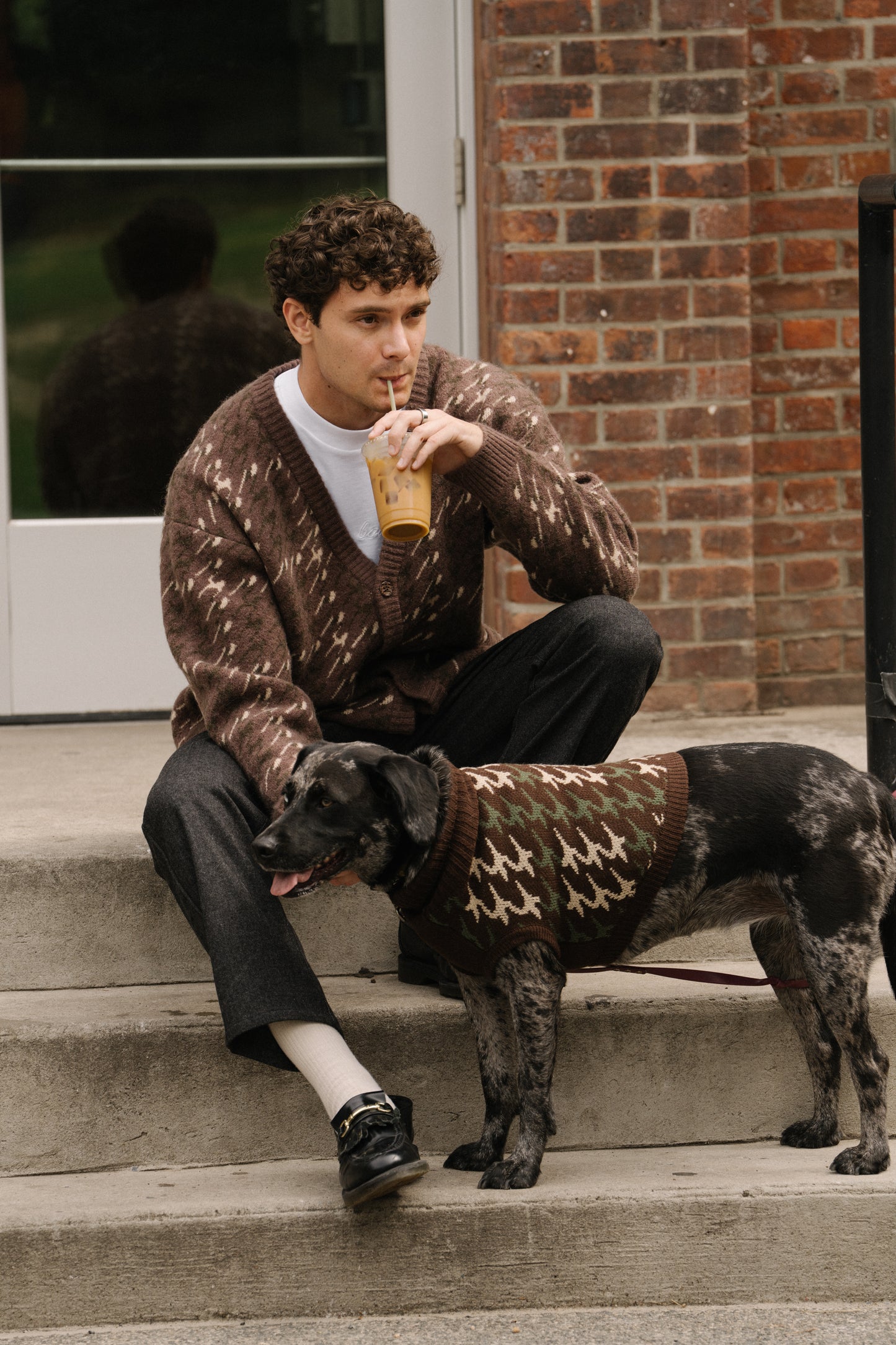 RONNIE DOG KNIT - BROWN