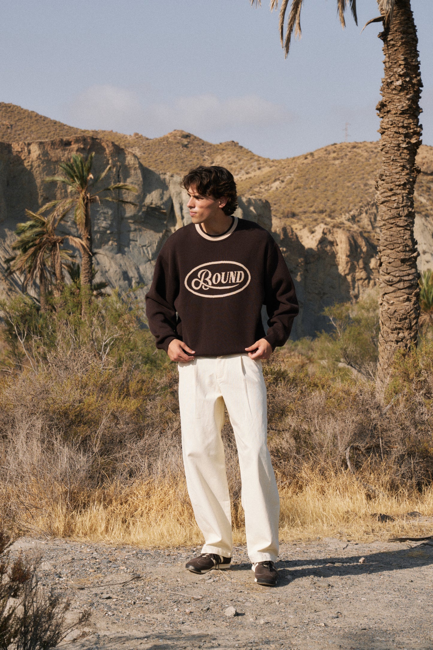 RETRO DISC KNIT SWEATER - BROWN