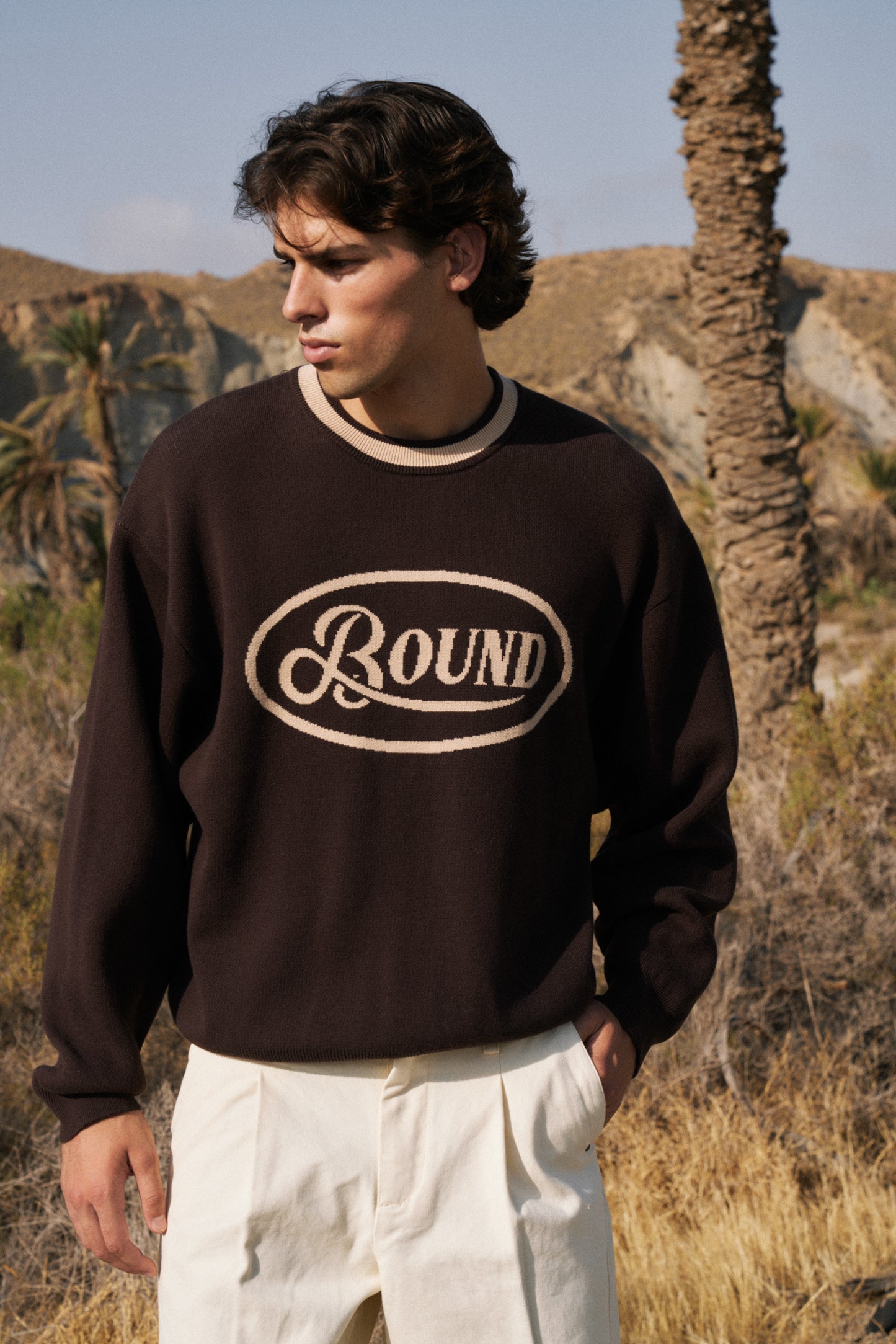 RETRO DISC KNIT SWEATER - BROWN
