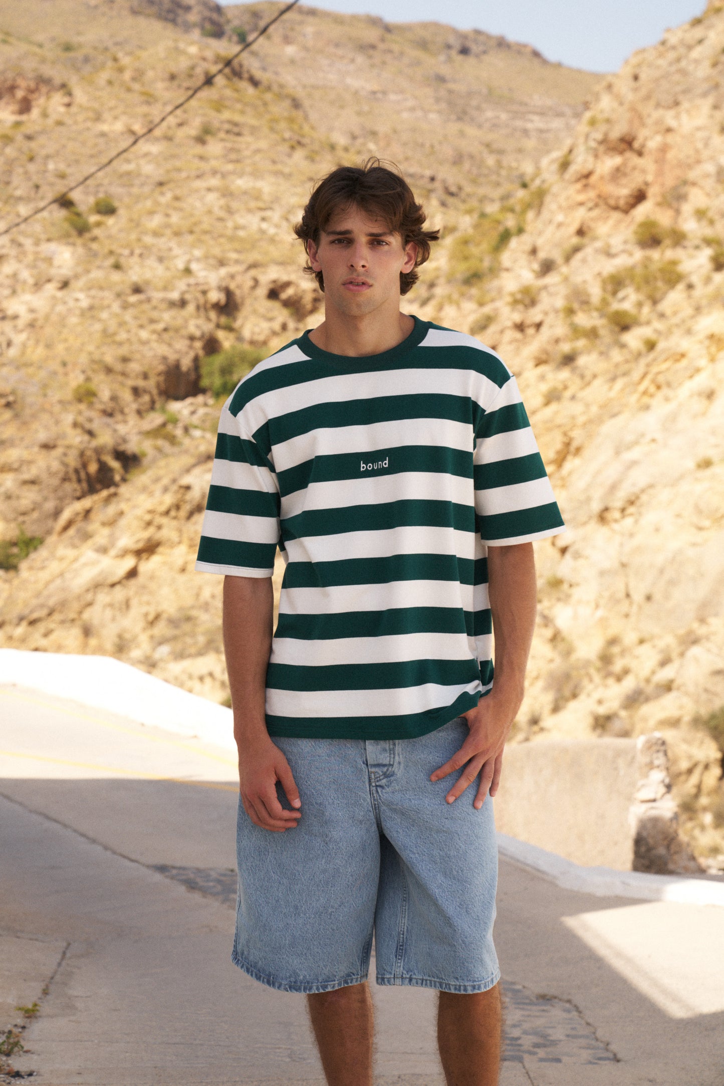 BASIL STRIPE TEE