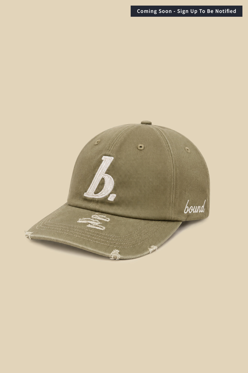 STAMP DISTRESSED CAP - GREEN